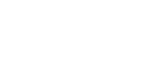 Official Selection, Cambridge Film Festival